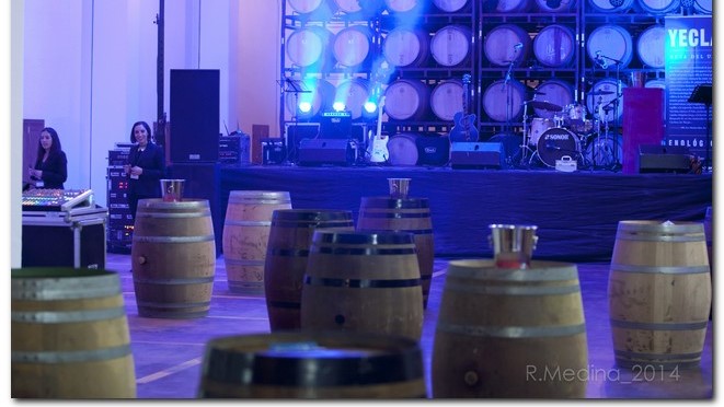 Galería fotográfica Noche Tinta 2014