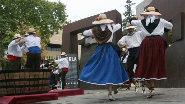 Fiesta de la Vendimia 2014. Fotos