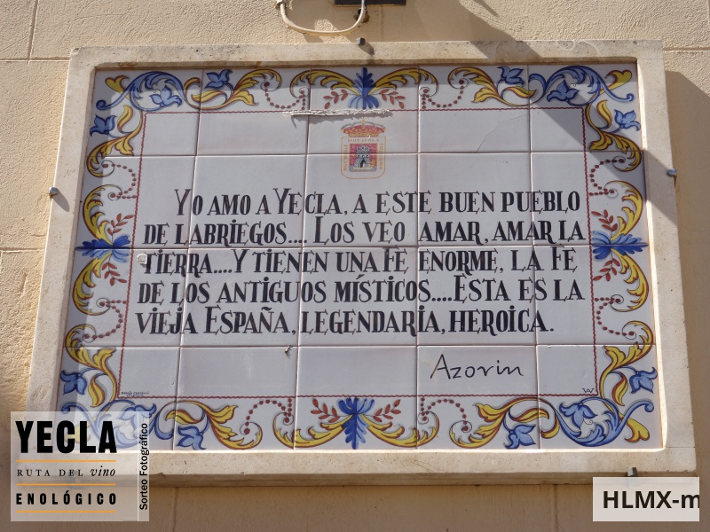 Concursantes de la Voluntad del mes de diciembre