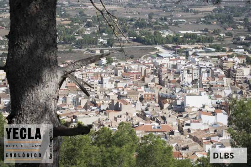 Segunda fotografía ganadora