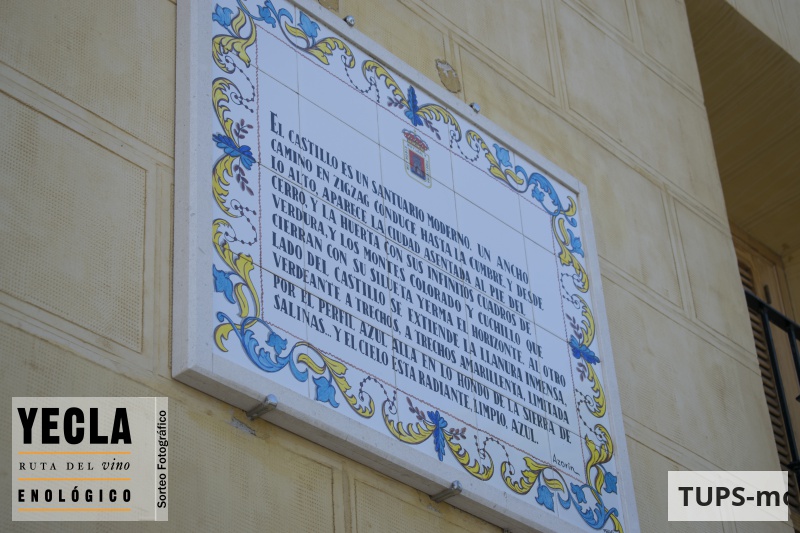 Concursantes de la Voluntad del mes de noviembre