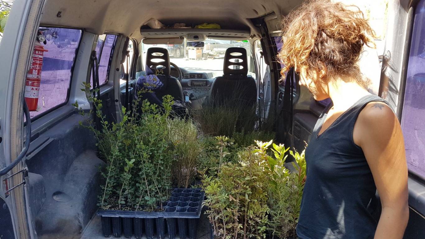 Almazara Deortegas potenciando la biodiversidad en la finca “Fuente la Negra”