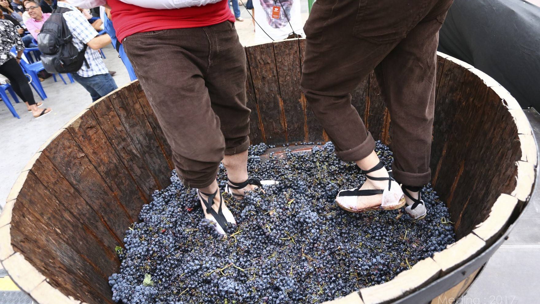 Ven en septiembre a la gran Feria del Vino de Yecla