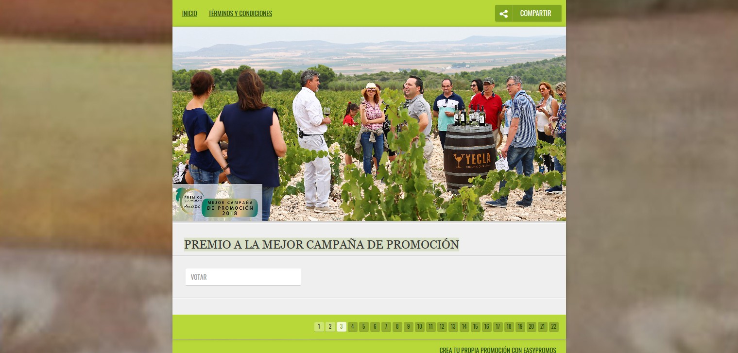 Premio a la mejor campaña de promoción