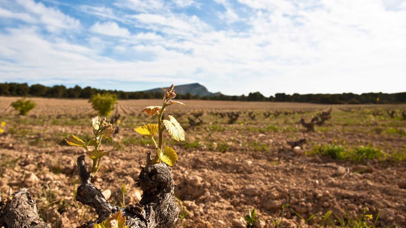 Una mañana de abril por el fotógrafo Medina