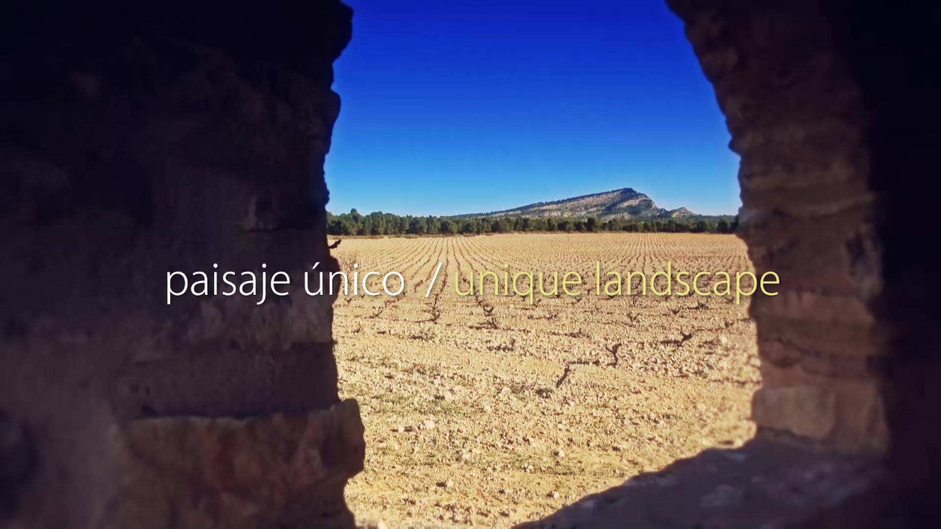 Ruta del vino de Yecla en defensa del Monte Arabí