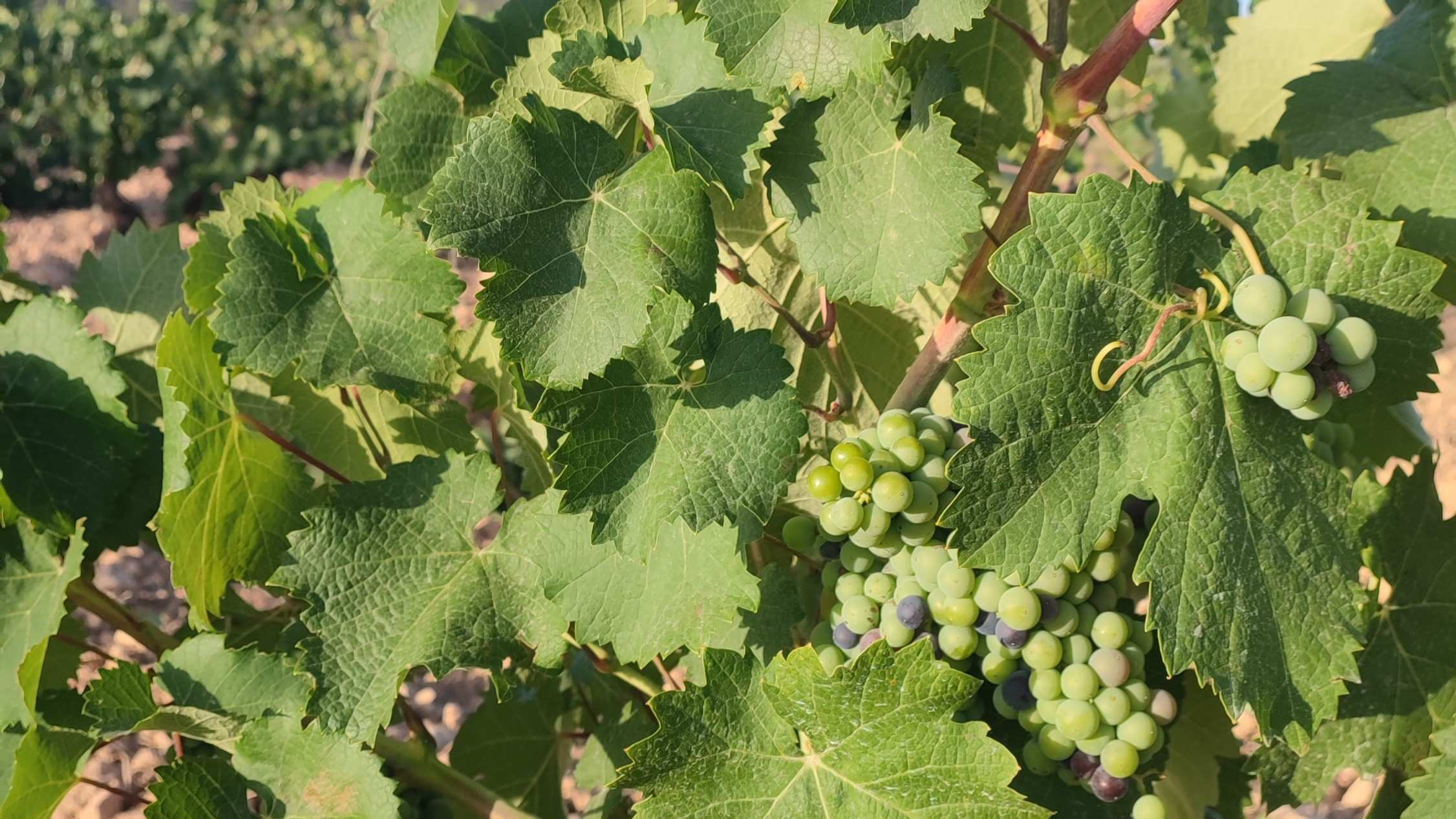 Horarios de agosto 2022