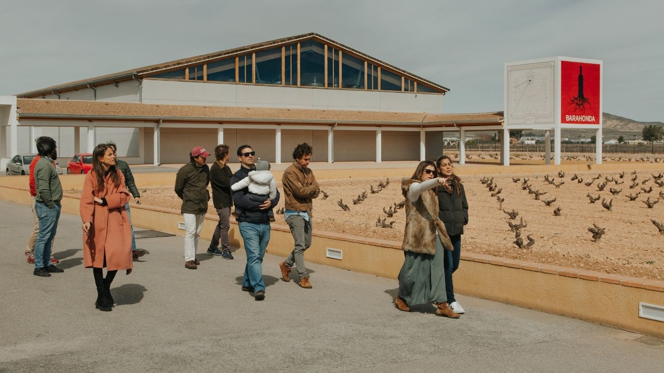 Visita Bodegas Barahonda