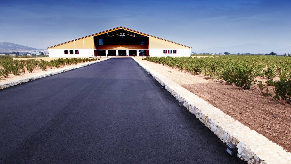 Visit to Barahonda Wineries