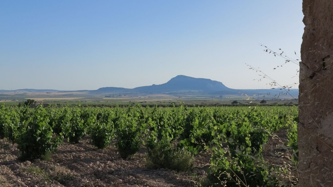Momento Monastrell Cultural
