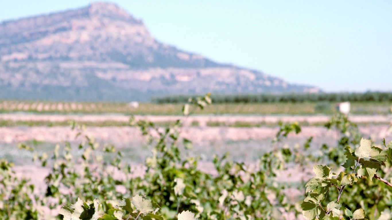 Momento Monastrell Cultural