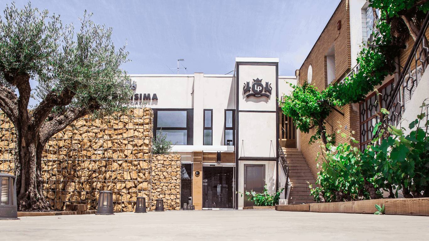 Visita guiada Bodegas la Purísima