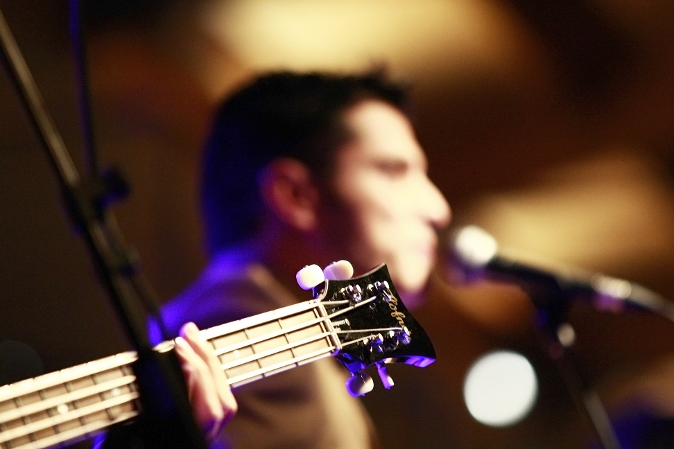 Noche Tinta 2013. Galeria de Fotos